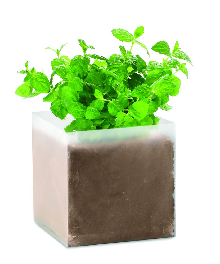 GiftRetail MO9546 - MINT Compost with seeds "MINT"