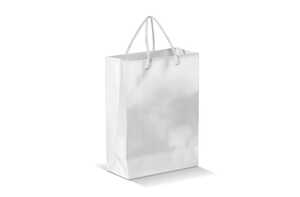 TopPoint LT91513 - Paper bag large White