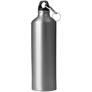 EgotierPro 50008 - 750ml Aluminum Bottle with Carabiner, Screw Cap WINNER Silver