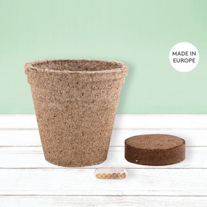 EgotierPro 52080K - Biodegradable Herb Pot: Chives, Basil, Oregano CERES Cilantro