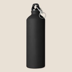 EgotierPro 33545 - 750ml Aluminum Bottle with Carabiner Keyring MATT